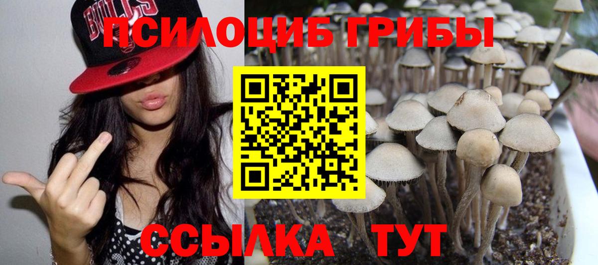 Реутов  Псилоцибиновые грибы Psilocybine cubensis  Вход с VPN 